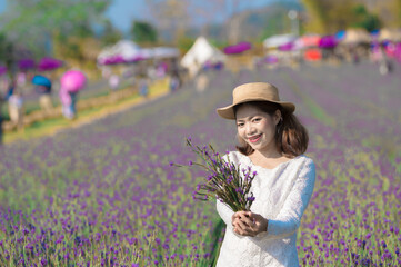 Wall Mural - woman in lavender field