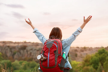 Wall Mural - Young female tourist in countryside