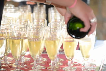 Wall Mural - Woman filling up glasses of champagne at a banquet