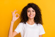 Photo of young cheerful smiling positive cute lovely pretty girl showing okay sign isolated on yellow color background