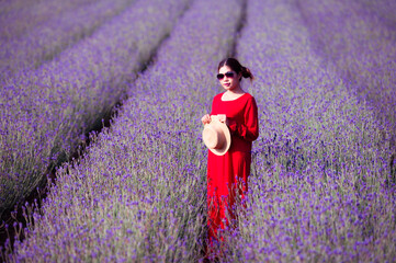 Wall Mural - The Asian woman wearing red dress in a lavender field,beautiful lavender flowers blooming in the garden.