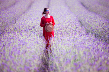 Wall Mural - The Asian woman wearing red dress in a lavender field,beautiful lavender flowers blooming in the garden.