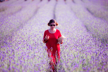 Wall Mural - The Asian woman wearing red dress in a lavender field,beautiful lavender flowers blooming in the garden.