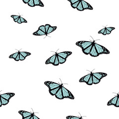 Canvas Print - Vector butterflies pattern