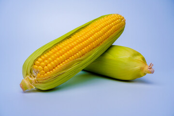 Fresh corn or maize isolated in white background