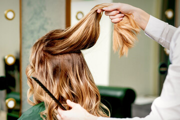 Hairdresser holds a strand of long hair of a young woman in a beauty salon