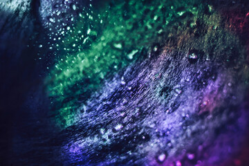 Poster - Beautiful abstract texture web. Background pattern for design. Macro photography view.