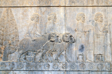 Wall Mural - Bas-relief with assyrian warriors and foreign ambassadors, Persepolis, Iran