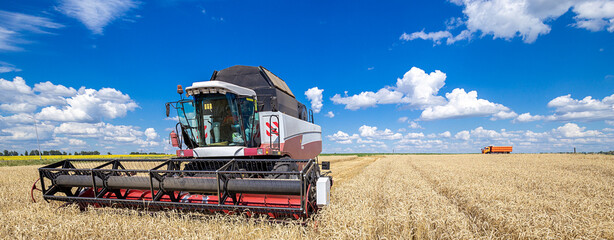 Wall Mural - Combine harvester working on a wheat field. Seasonal harvesting the wheat. Agriculture.