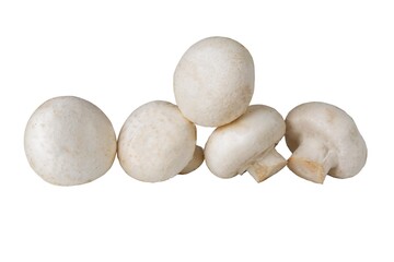 Group of champignon mushrooms on an isolated white background.