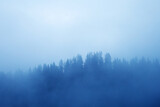 Fototapeta Na ścianę - Fog in the forest on the path to Spiegelsee in Reitaralm, Austia