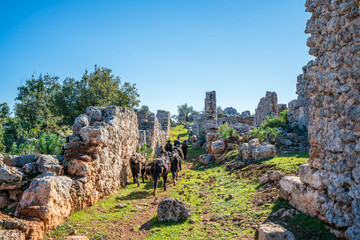 The ancient city of Lyrboton Kome, located in the Kepez on a hill in Varsak, discovered in 1910, an important olive oil production center in the region and had close ties to Perge, Antalya