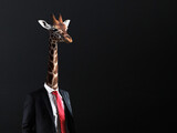 Fototapeta  - Businessman with head of Giraffe
