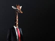 Businessman With Head Of Giraffe