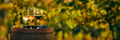 Three glasses of white, rose and red wine on a wooden barrel. Panoramic photo