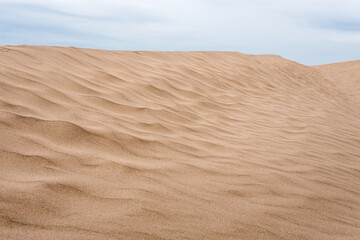 Canvas Print - Sand dunes