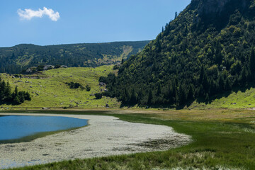 Wall Mural - lake in the mountains