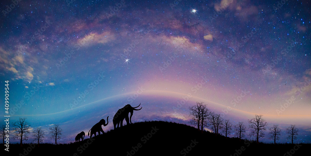 The silhouette of an elephant walking through the grass, on milky way background, With the compression artifact technique
 - obrazy, fototapety, plakaty 