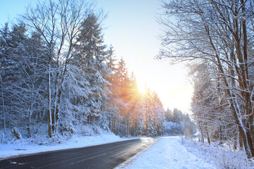 Wall Mural - Sunset in winter germany forest. Winter background.