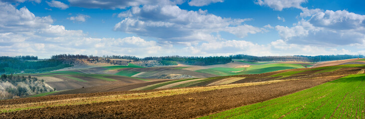 Fotomurales - big panoramic view of green winter wheat spring field, plowed lands lines, relief hilly landscape in the background