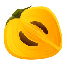 Poster - Persimmon fruit icon. Cartoon of persimmon fruit vector icon for web design isolated on white background