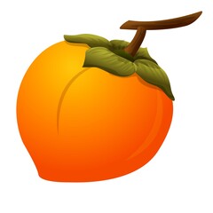 Poster - Persimmon sweet icon. Cartoon of persimmon sweet vector icon for web design isolated on white background