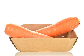 Two fresh organic, unpeeled carrots in a paper bowl, close-up, isolated on white.