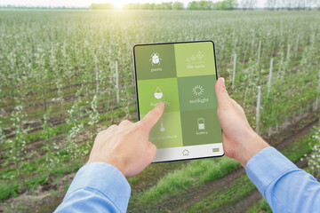 Wall Mural - Smart garden. Agrotechnician using touch pad to control harvest growing options, checking humidity, life cycle. Collage