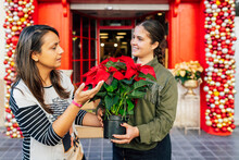 Woman Standing Outside Shop With Female Costumer At Red Door With Christmas Decorative Baubles Holding Pot Of Poinsettia Flower In Daylight