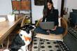 © Joy Zamora/ADDICTIVE STOCK - Delighted Indian female freelancer sitting on chair and working remotely from home with obedient Border Collie dog sitting nearby