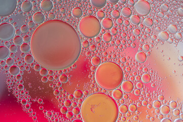 Wall Mural - Abstract oil bubbles colored background