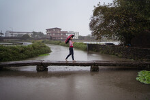 Side View Of Female With Umbrella Walking Along Wooden Footbridge While Enjoying Solitude On Rainy Day In Yilan County And Looking Away