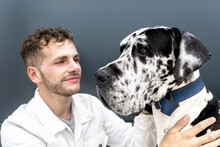 Tender Male Owner Cuddling Face To Face With Harlequin Great Dane Dog While Sitting In City During Stroll
