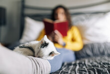 Sweet Adorable Kitten Cuddling And Sleeping On Legs Of Female Owner Resting On Bed With Interesting Book