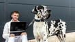 © Sergio Victor Vega/ADDICTIVE STOCK - Male freelancer sitting on street with Great Dane dog and working on remote project via laptop