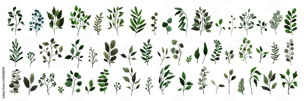 Collection of greenery leaves branch twig flora plants. Floral watercolor wedding objects, botanical foliage. Vector elegant herbal spring illustration for invitation card - obrazy, fototapety, plakaty 