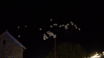 Wall Mural - Guests at a wedding party release balloons into the sky