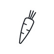 Carrot icon. Vector linear icon, contour, shape, outline isolated on a white background. Thin line. Modern minimalistic design. Vegetables