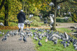 The old Muslim man is walking into the pigeons group, Moses Gate Country Park, Bolton, England.