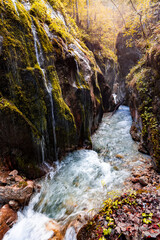 Poster - The Wimbachklamm, a steep gorge in Berchtesgadener Land, Bavaria, Germany, in autumn.