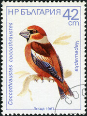 Wall Mural - BULGARIA - CIRCA 1987: A stamp printed in Bulgaria shows Coccothraustes