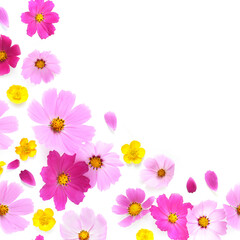 Wall Mural - frame made of natural flowers with place for text