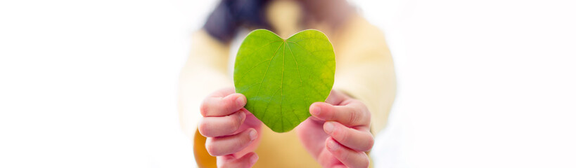 kid girl hand holding young green leaf with heart shape on white isolated nature background.eco earth day.plant, Nature, energy, love, Csr, Save earth, Environment day.Banner background.Sustainable.