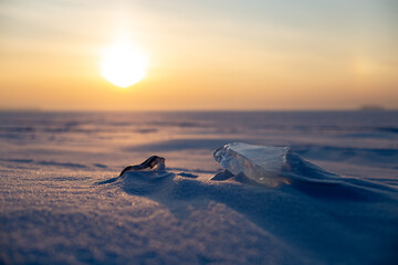 Wall Mural - ice floes lie on the shore against the backdrop of sunset.
