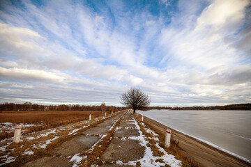 Wall Mural - Single tree on a dam on a frozen lake. Winter landscape