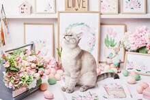 Easter Cat With Eggs And Flowers. Gray Kitten Sitting On Table. Spring Greeting Card Happy Easter. Easter Decor. Watercolor Spring Paintings. Designer And Artist's Workplace. Creative Space.