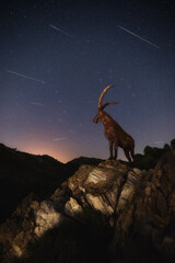 Mountain goat statue with shooting stars