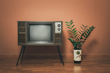 Retro old TV stands on wooden floor in the vintage room with flower pots. Antique television wooden cabinet