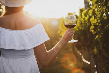 Poster - Young woman with glass of wine in vineyard on sunny day, back view