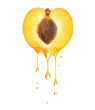 Drops of juice dripping from half of apricot close up on a white background